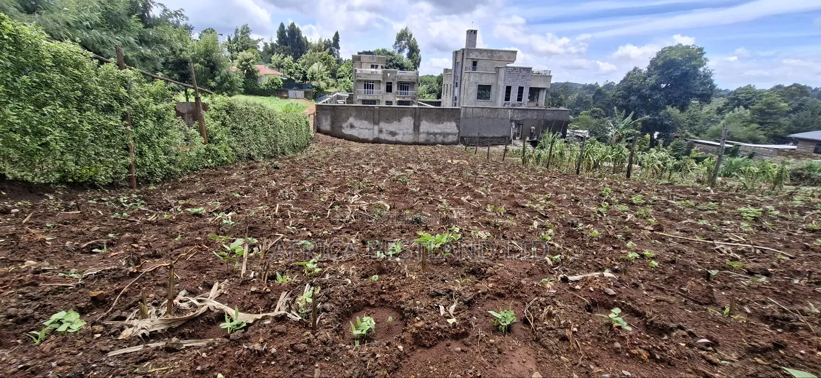 50x100 Available Plot in Muguga in Muguga