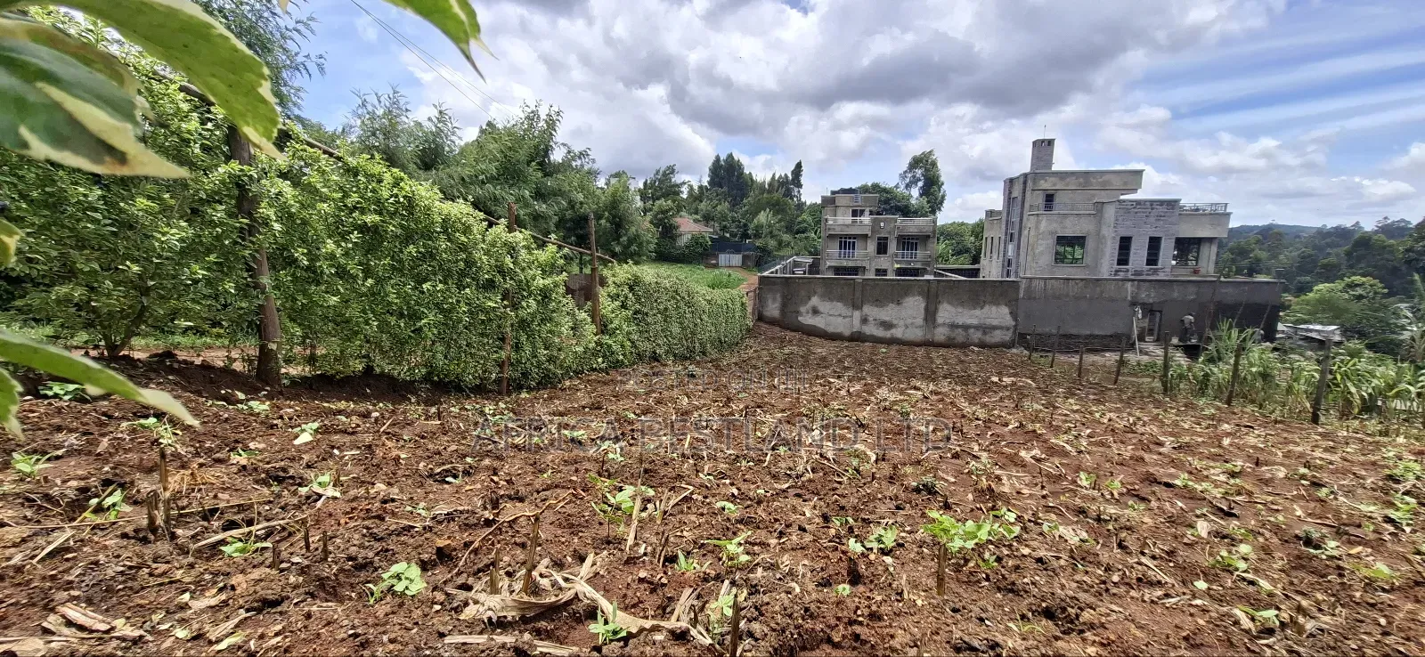 50x100 Available Plot in Muguga in Muguga