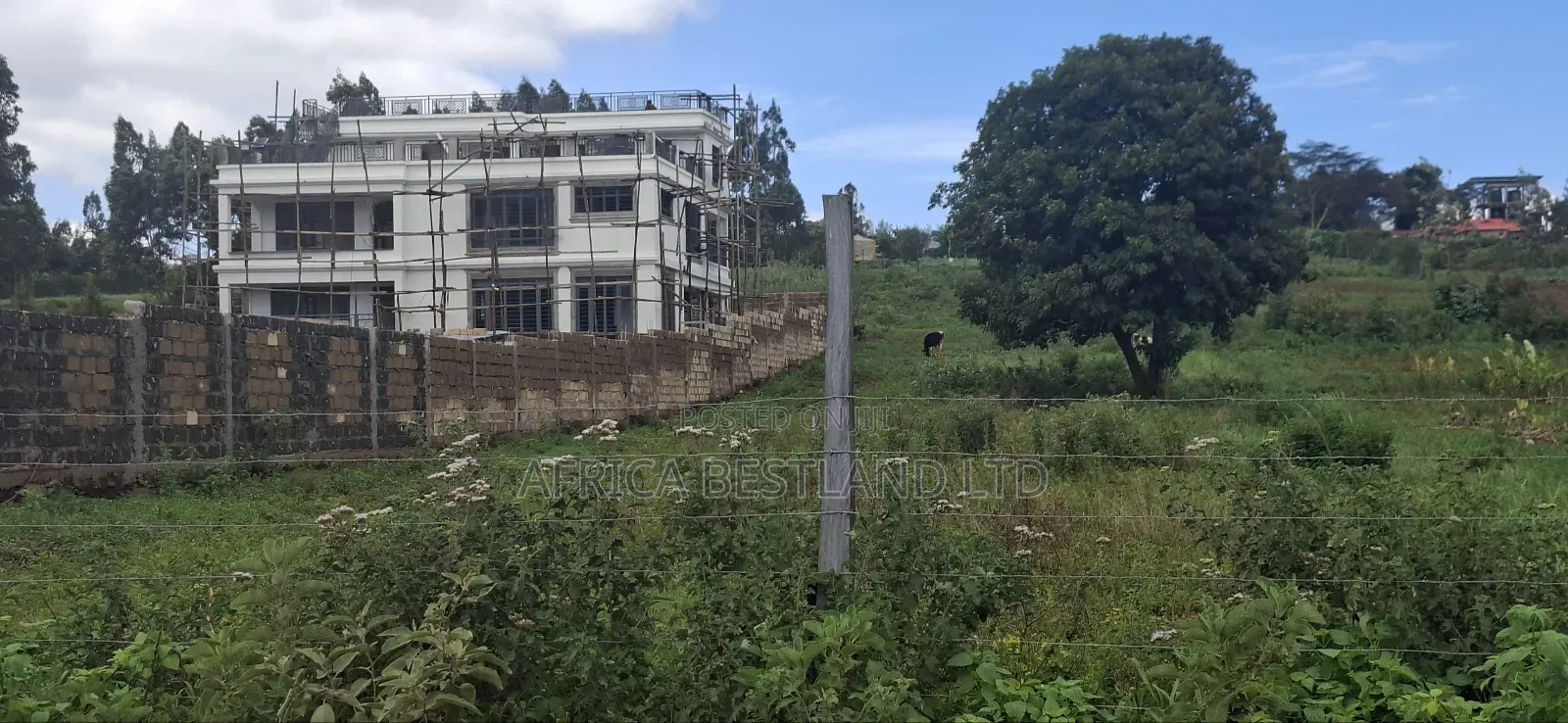 50x100 Available Residential Plot Gikambura Kamuyu Drive in Karai
