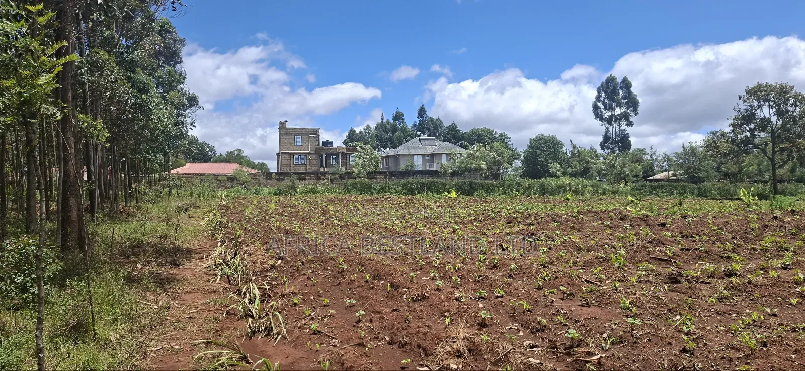 50x100 Available Residential Plot Gikambura Kamuyu Drive in Karai