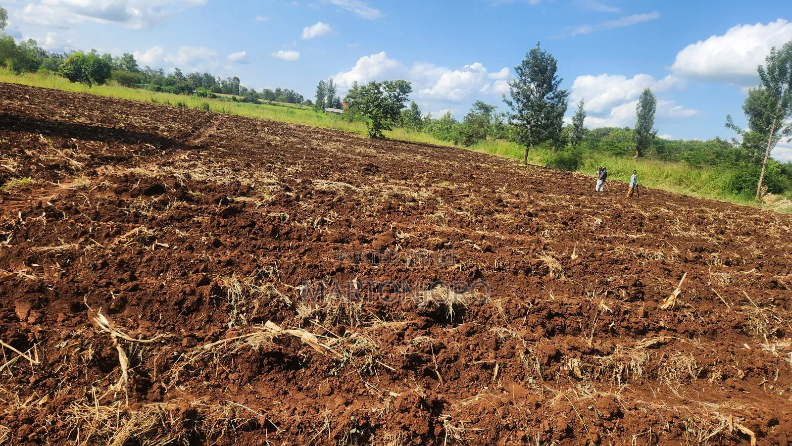 2 Acres Makutano Ya Mwea in Makutano