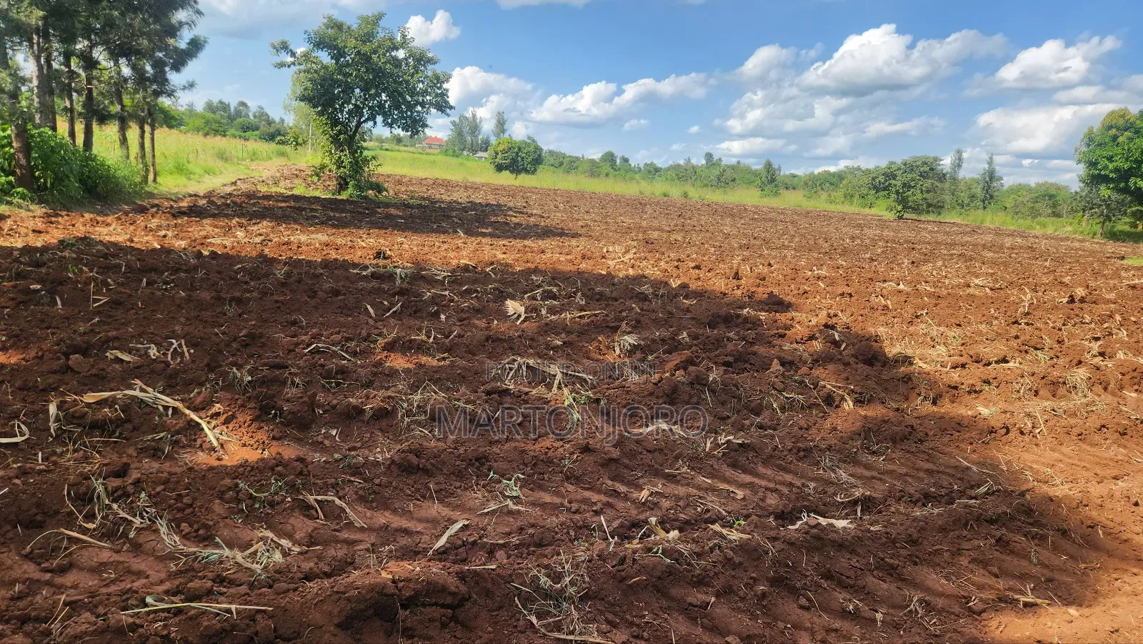 2 Acres Makutano Ya Mwea in Makutano