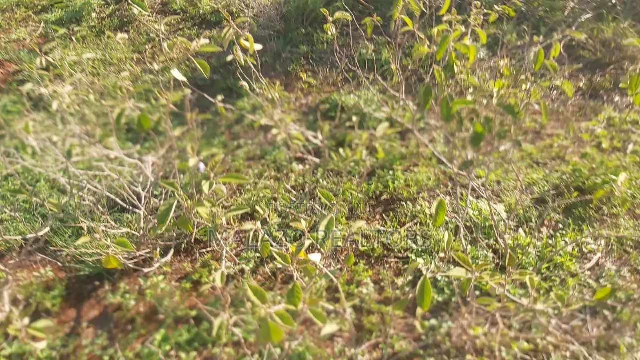 10 Acres Land for Sale in Salama in Makindu