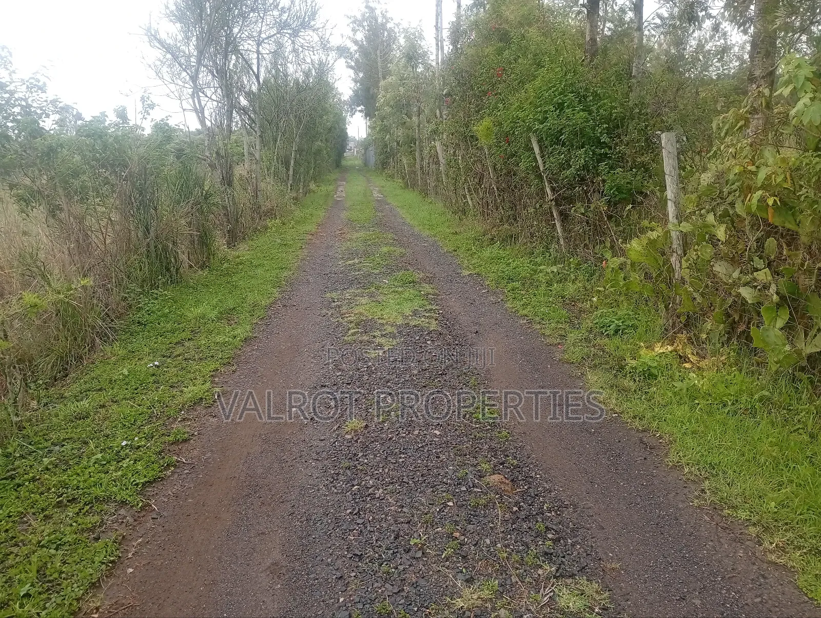 1acre Land for Sale in Matasia,Ngong. in Matasia