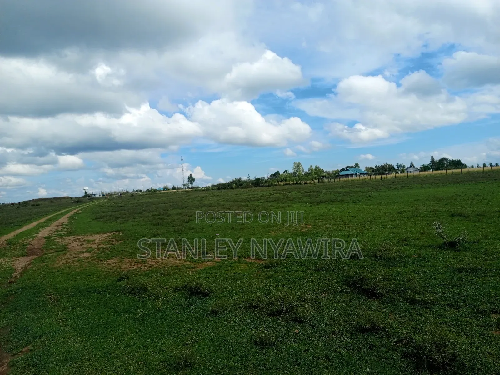 Distress Sale Half Acre Nanyuki Sweetwater in Nanyuki