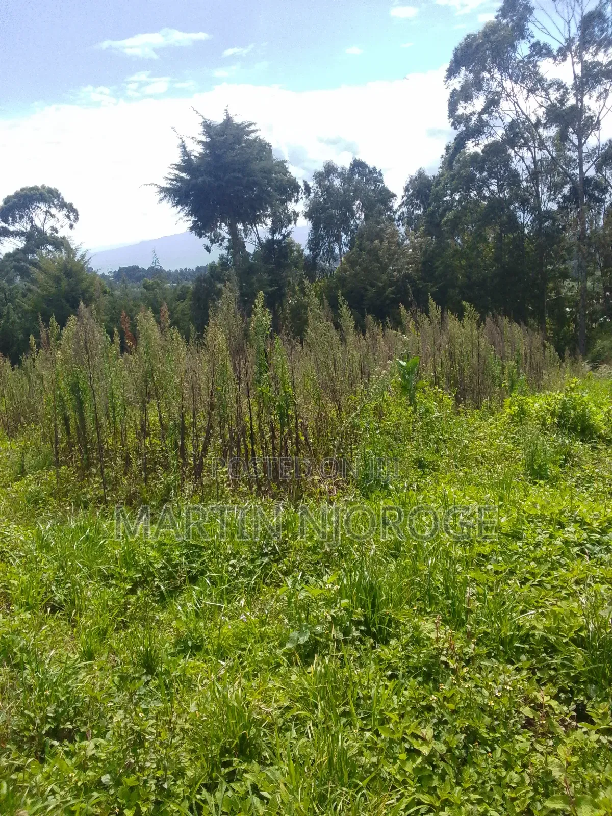 1.5 Acres Nyambari ( Rift Valley View) in Lari/Kirenga