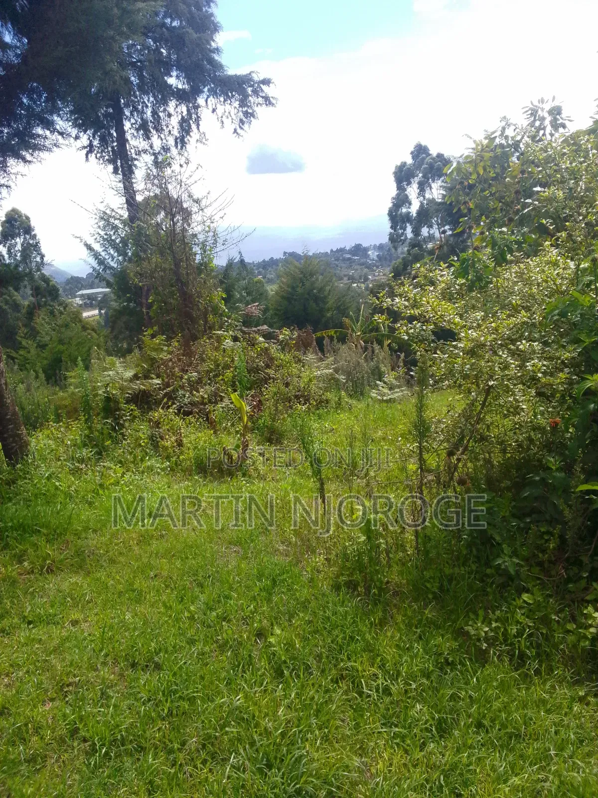 1.5 Acres Nyambari ( Rift Valley View) in Lari/Kirenga