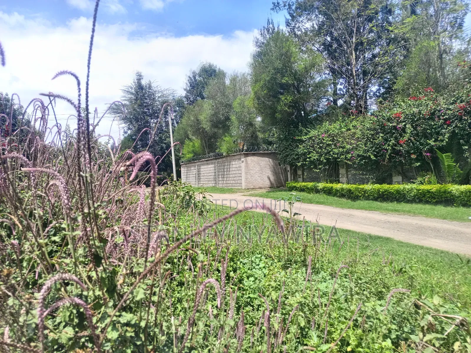 1/4 Located Nanyuki Town Muthaiga in Nanyuki