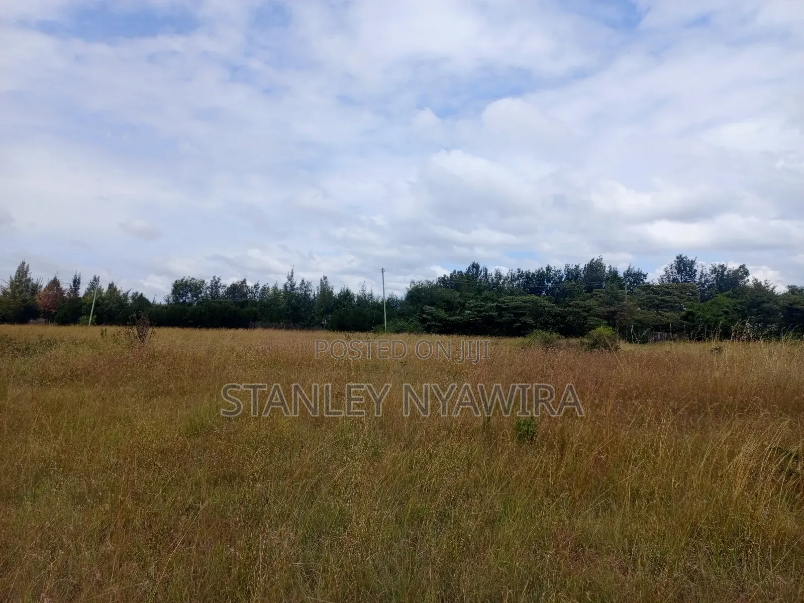 5 Acreas Nanyuki Town in Nanyuki