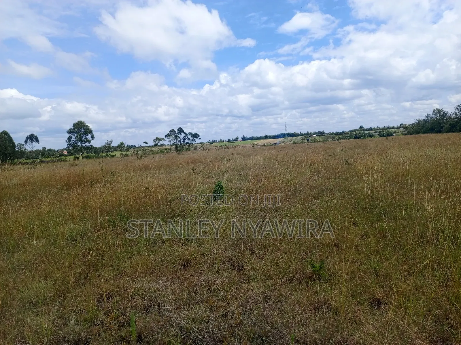 5 Acreas Nanyuki Town in Nanyuki