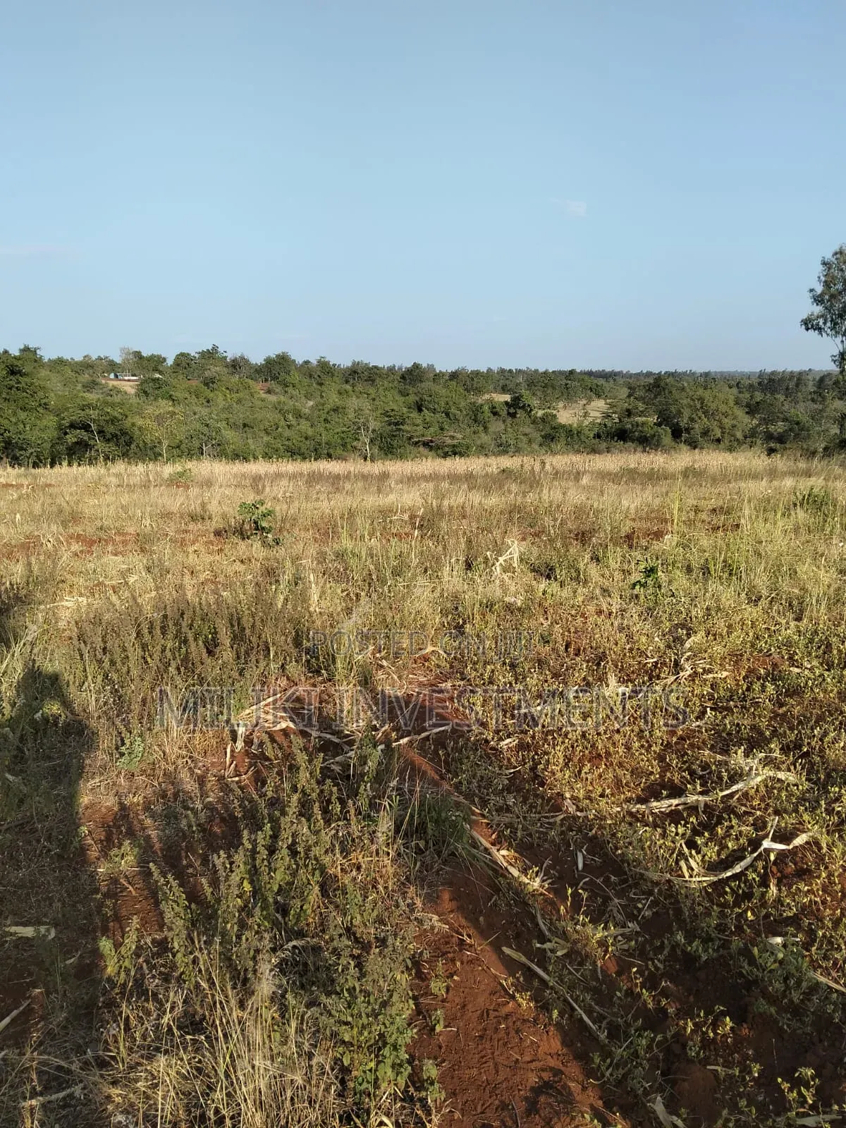 5 Acres of Land on Sale at Makutano,-Rukanga in Mutithi