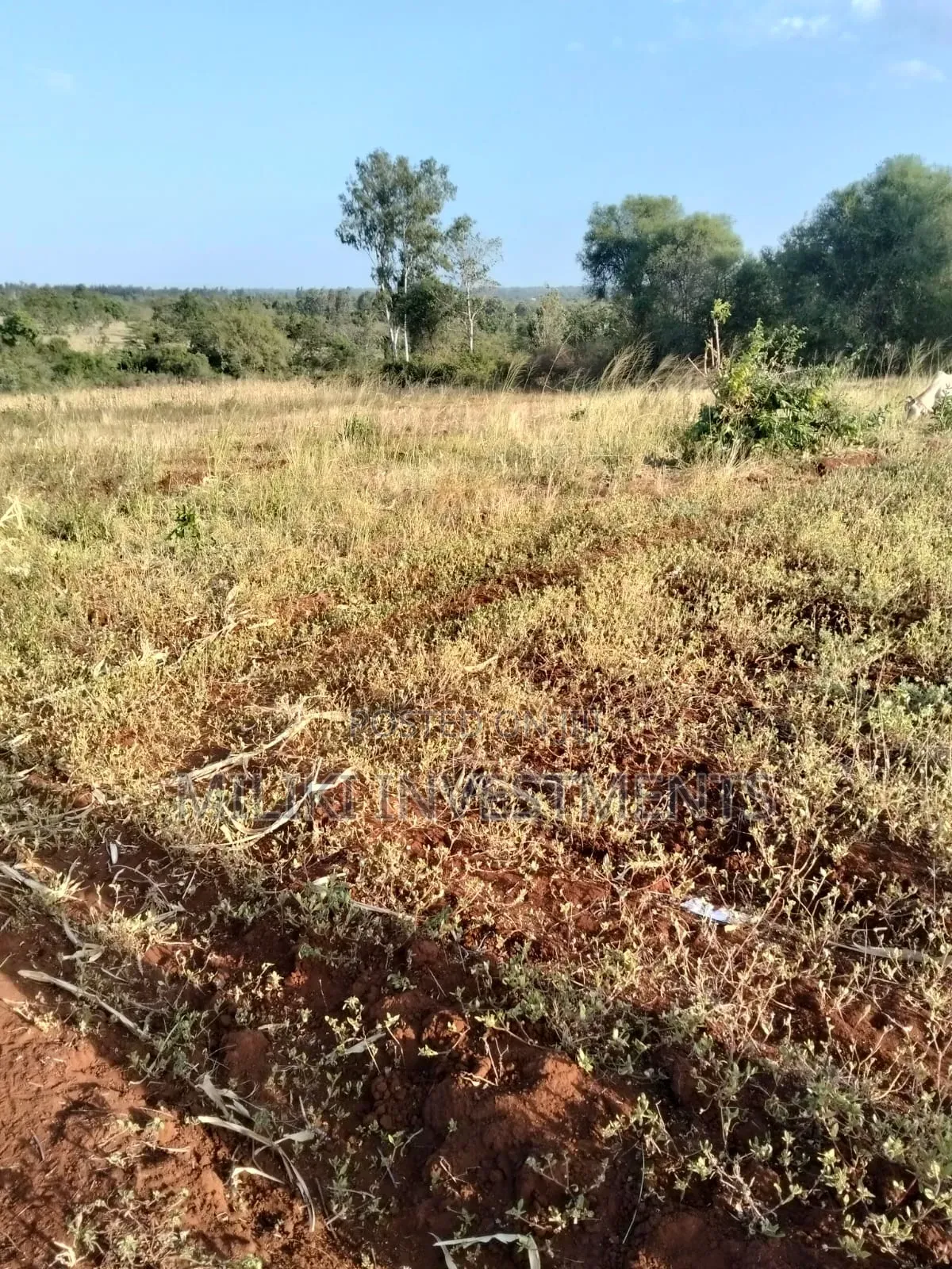 5 Acres of Land on Sale at Makutano,-Rukanga in Mutithi