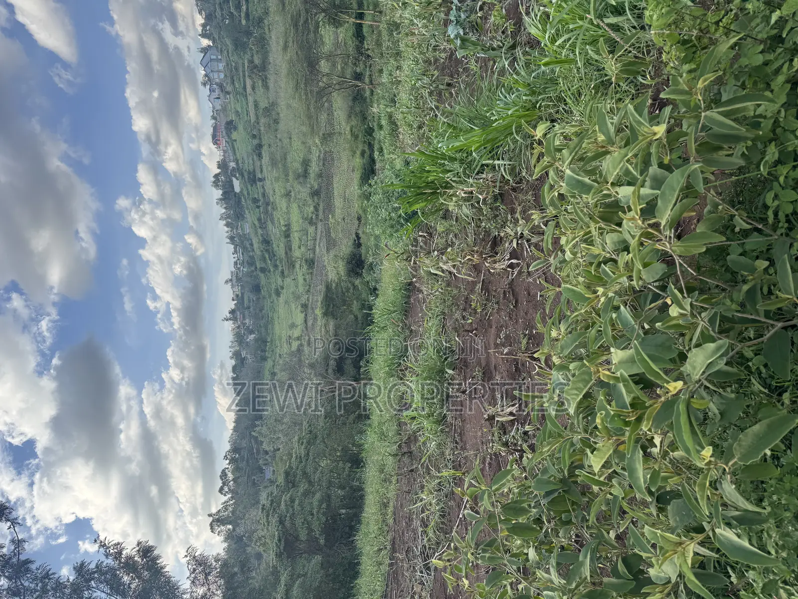 1/8 Acre Merisho in Merisho