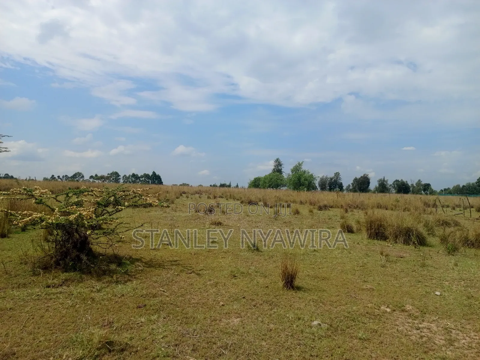 Selling 1.2.3.And 5 Acreas Nanyuki Segera in Nanyuki