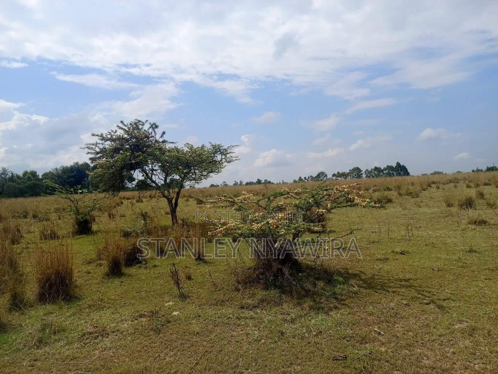 Selling 1.2.3.And 5 Acreas Nanyuki Segera in Nanyuki
