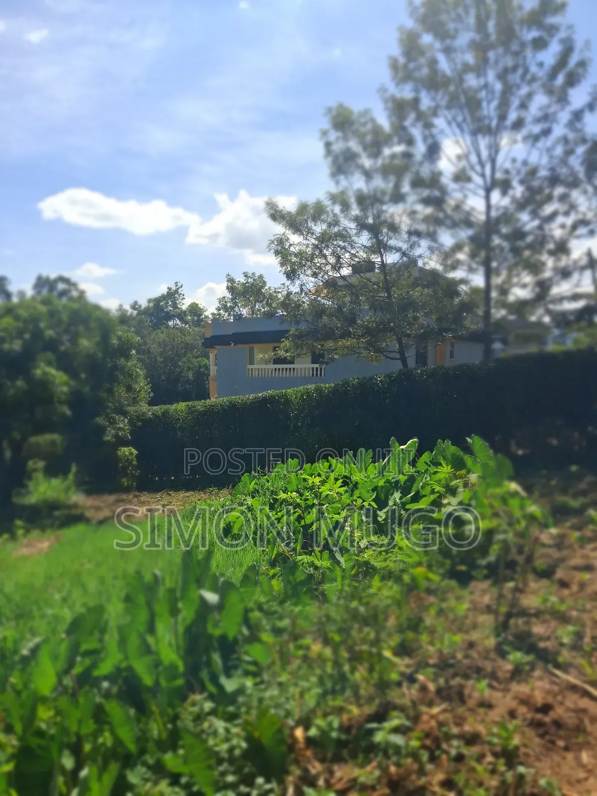 Mugumo Estate Off Ruiru/ Kiambu Road Prime 1/2 Acre in Kiambu / Kiambu 