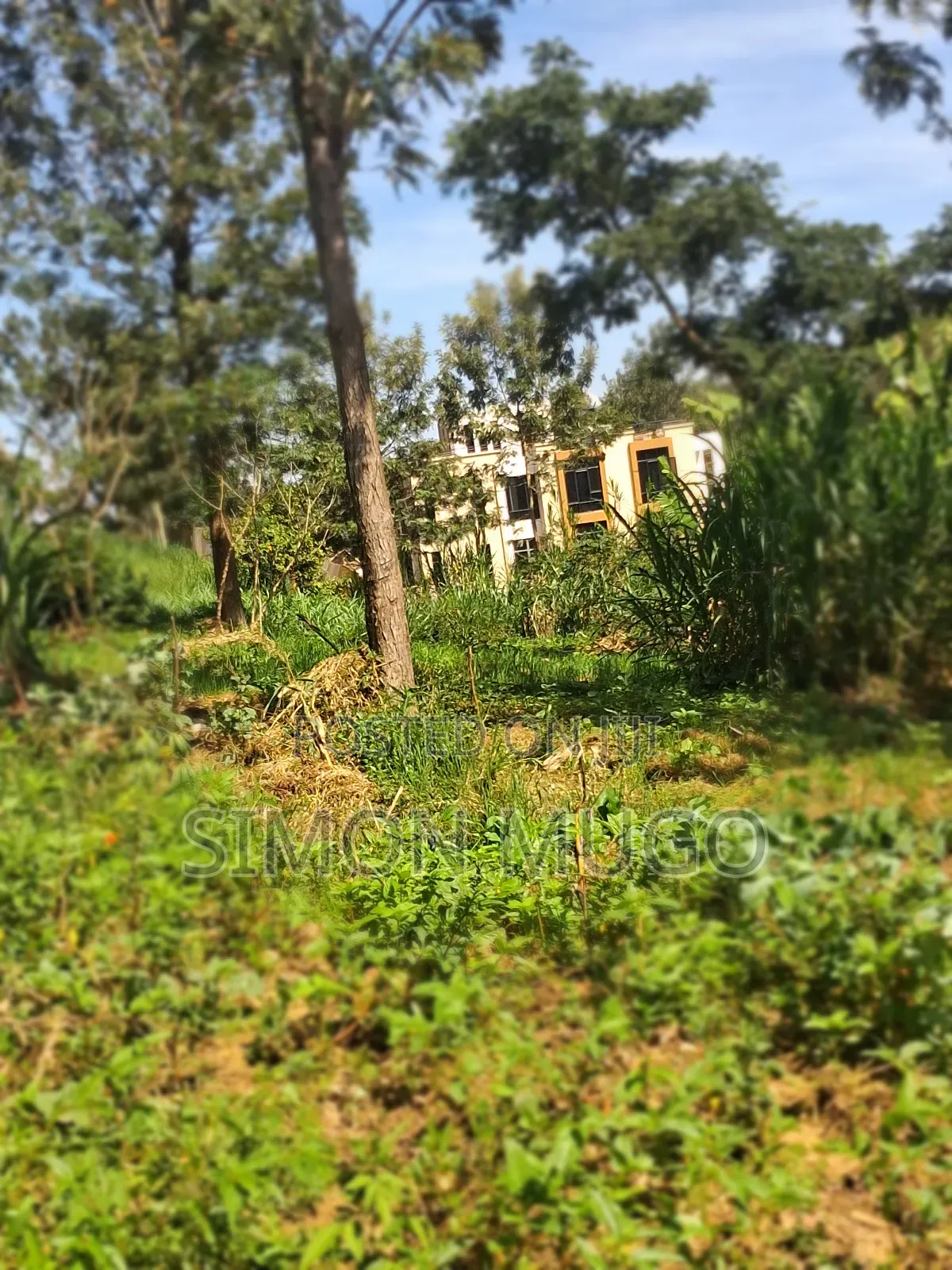 Mugumo Estate Off Ruiru/ Kiambu Road Prime 1/2 Acre in Kiambu / Kiambu 