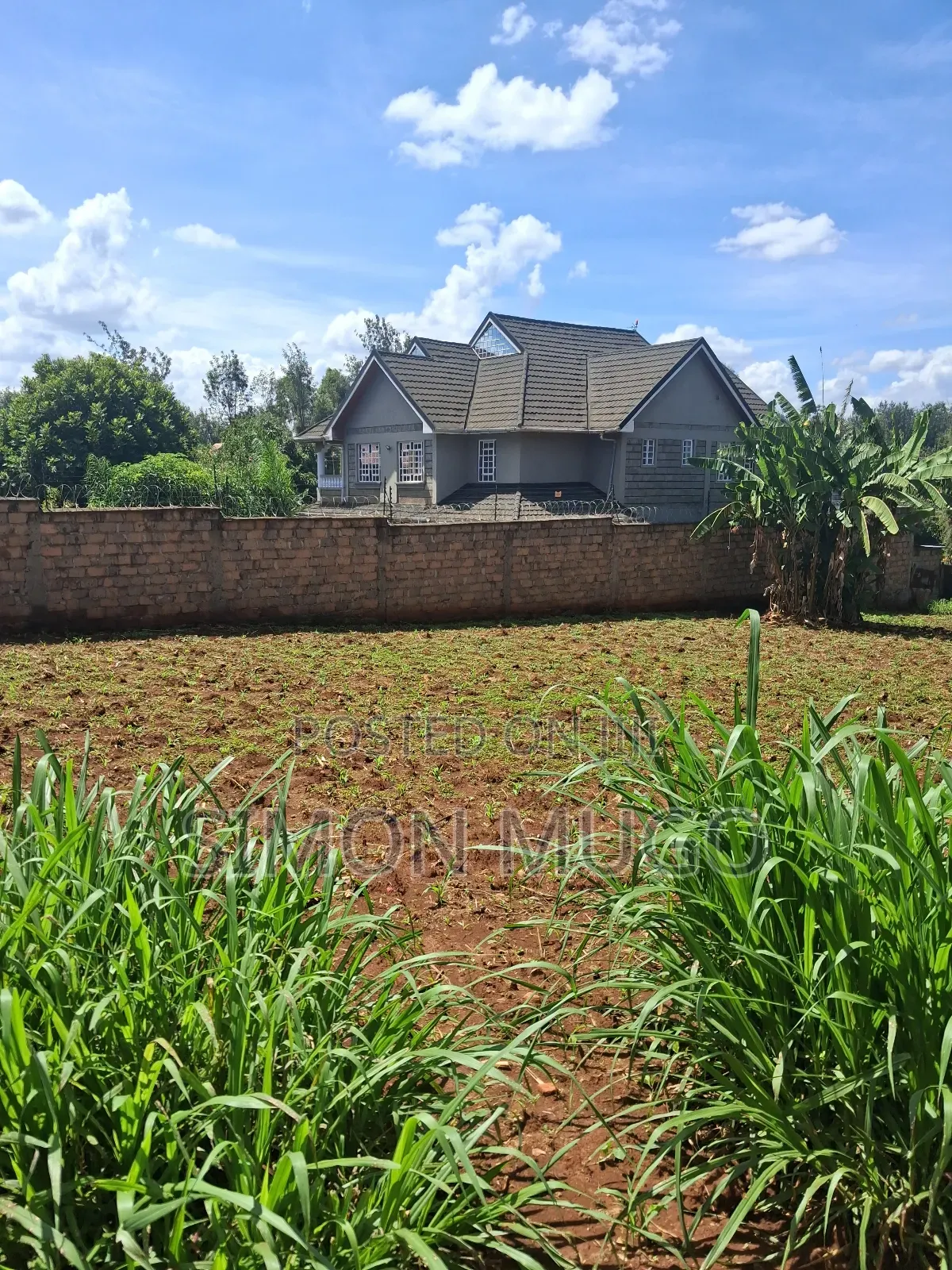 Mugumo Estate Off Ruiru Kiambu Road Prime Well Drained 1/2 Acre in Kiambu / Kiambu 
