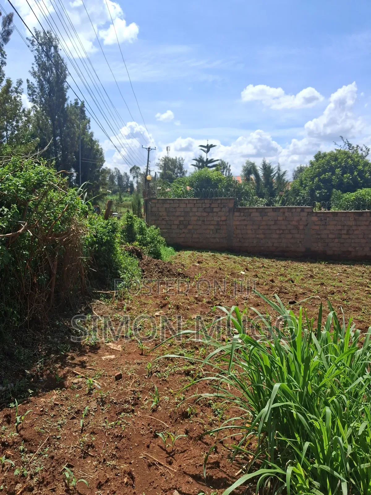 Mugumo Estate Off Ruiru Kiambu Road Prime Well Drained 1/2 Acre in Kiambu / Kiambu 