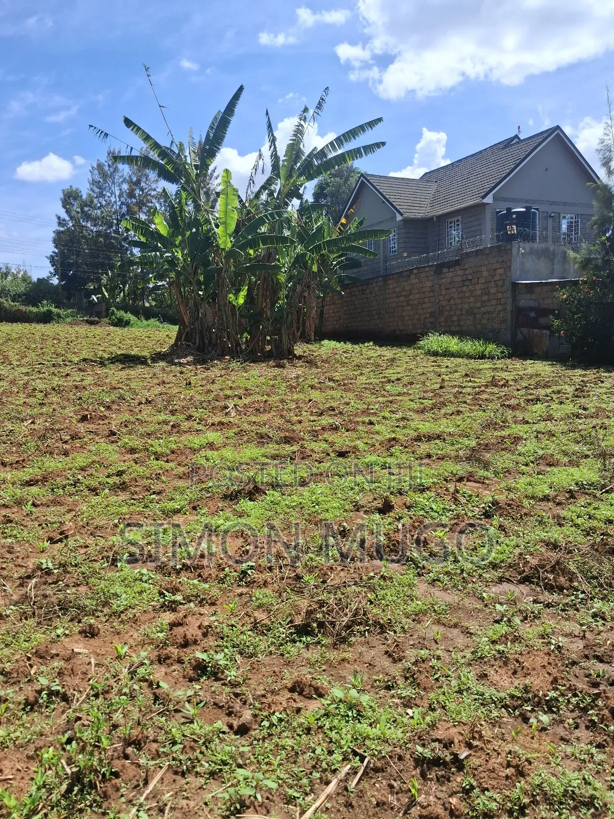 Mugumo Estate Off Ruiru Kiambu Road Prime Well Drained 1/2 Acre in Kiambu / Kiambu 