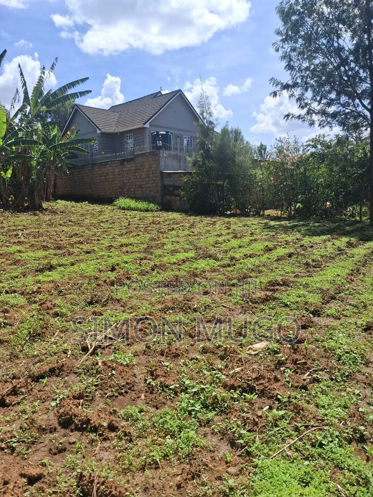 Mugumo Estate Off Ruiru Kiambu Road Prime Well Drained 1/2 Acre in Kiambu / Kiambu 