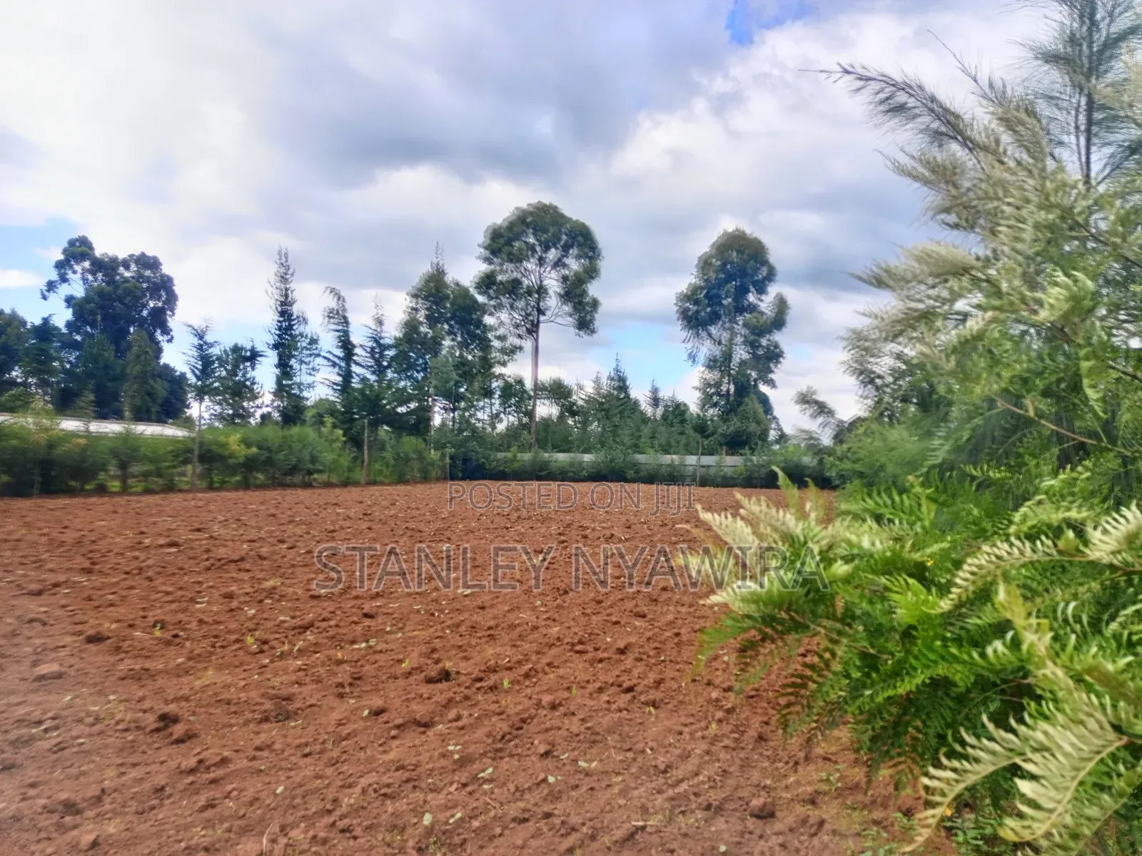 2.5 Acrea Located Ngando Kangaita Nanyuki in Nanyuki