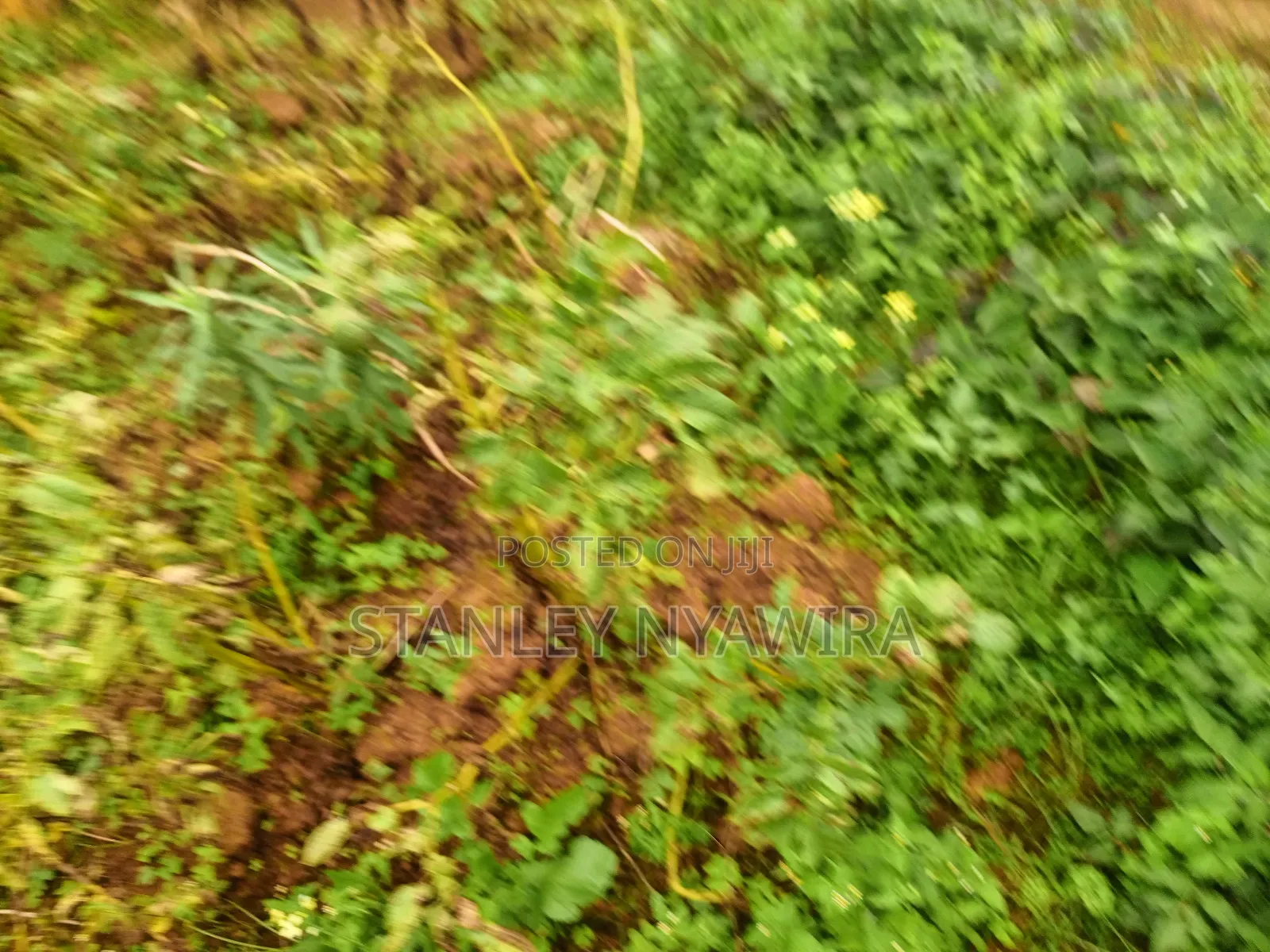2.5 Acrea Located Ngando Kangaita Nanyuki in Nanyuki