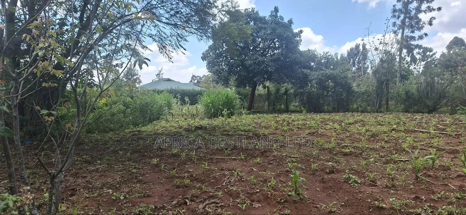 85x100 Residential Plot Available for Sale Gikambura in Karai