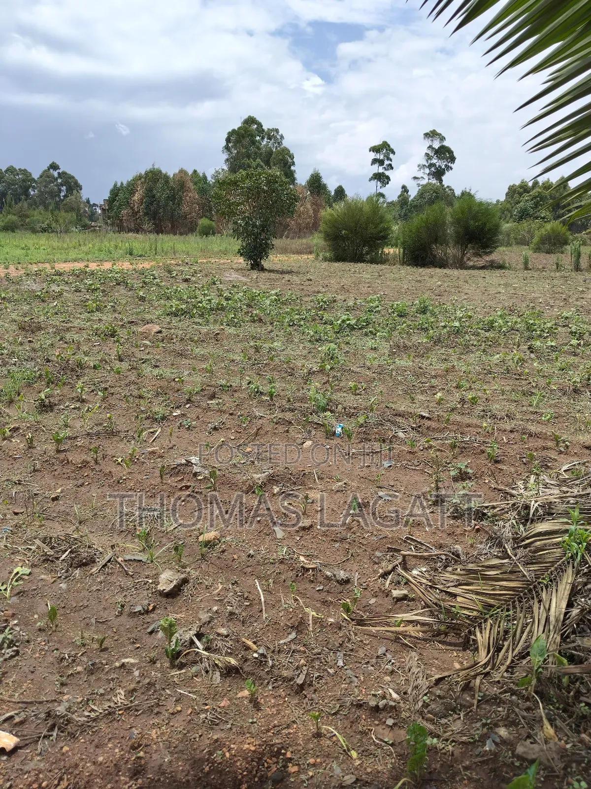 Eldoret Annex Residential Gated Plot in Racecourse