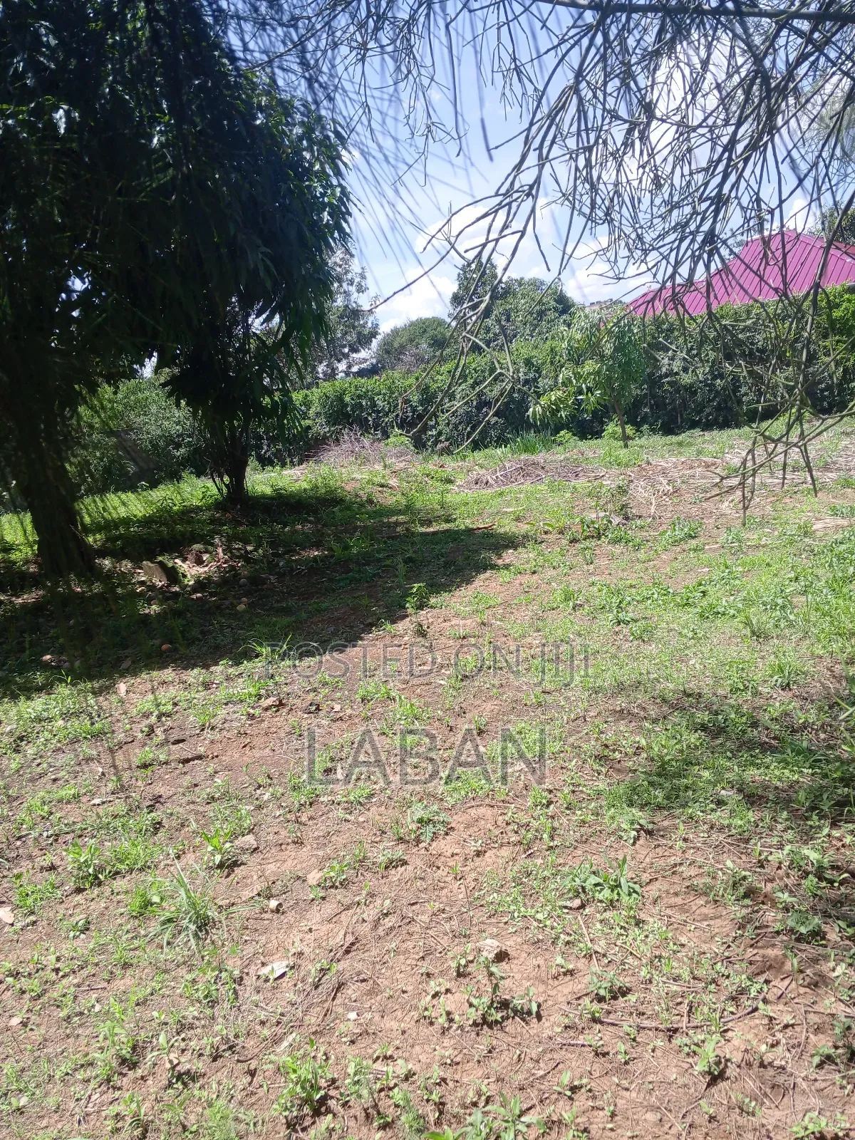 Plots for Sale Kamakis Ruiru in Kamakis