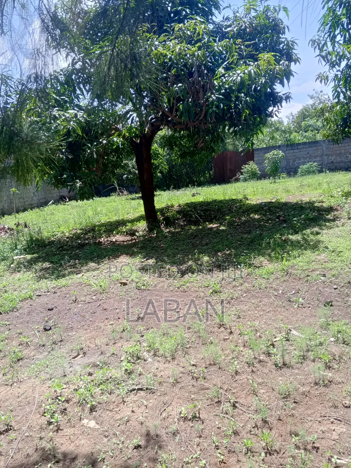 Plots for Sale Kamakis Ruiru in Kamakis