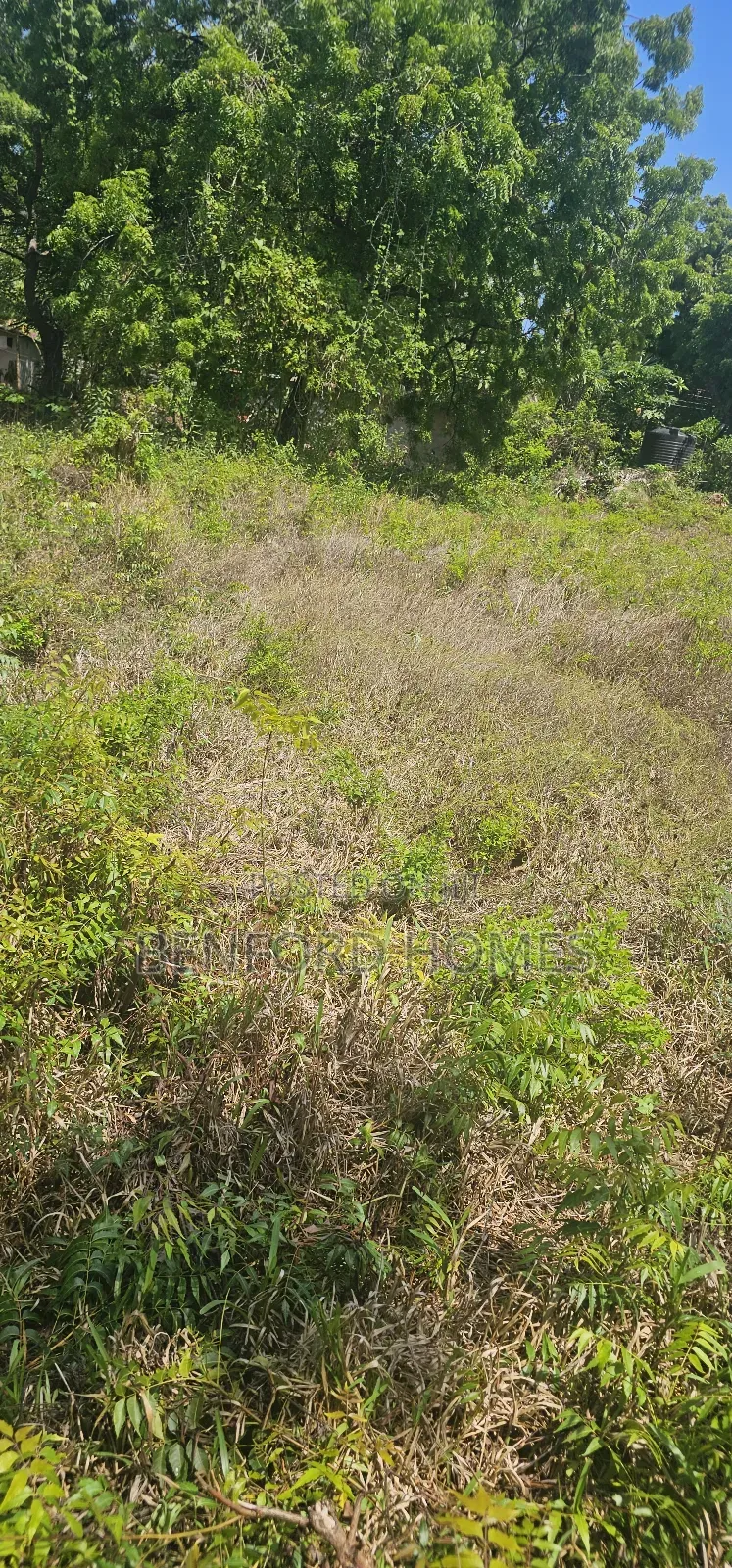 Half Acre Piece of Land on Sale Old Nyali Coral Drive in Nyali Mkomani