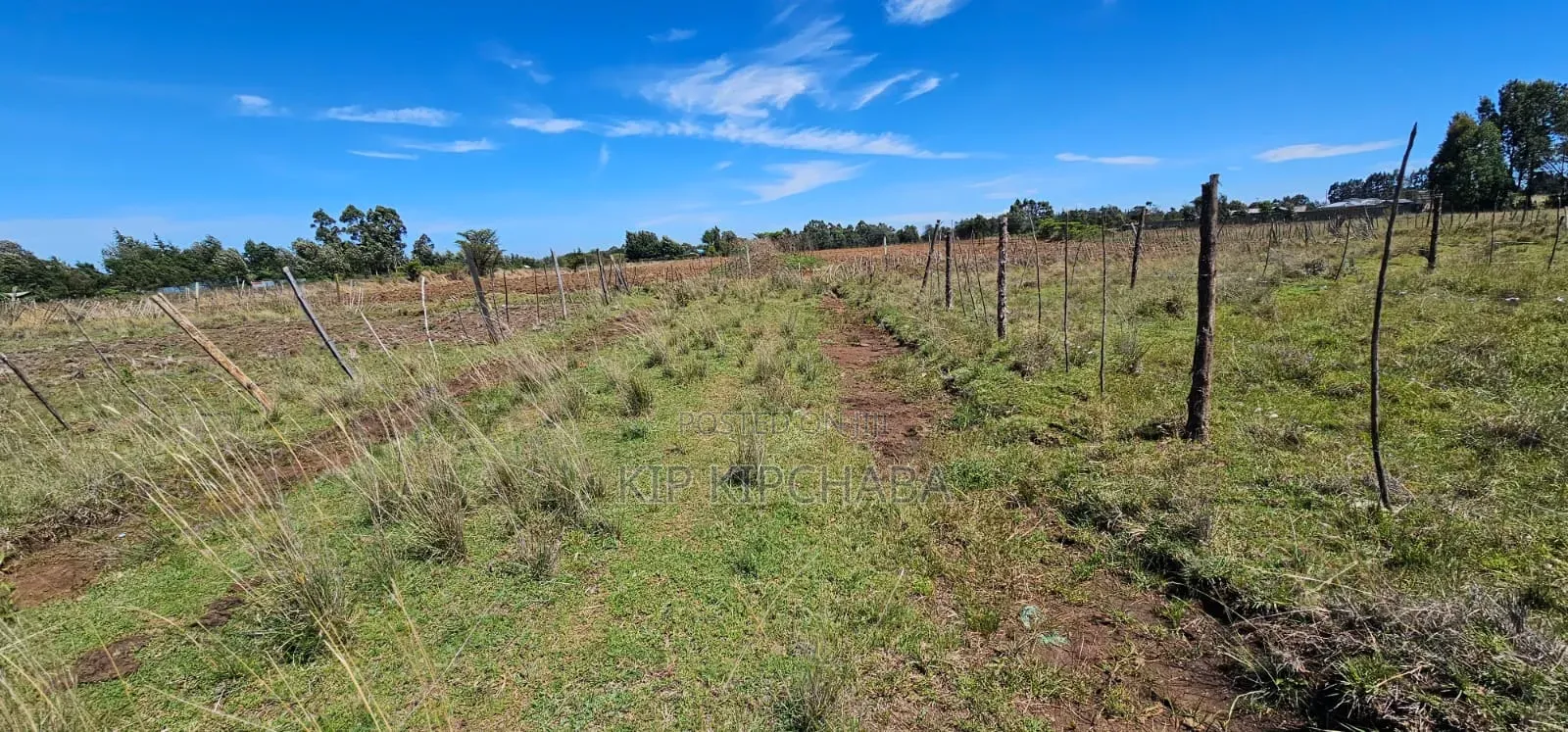 Prime Plots Fir Sale in Marura Eldoret in Kimumu