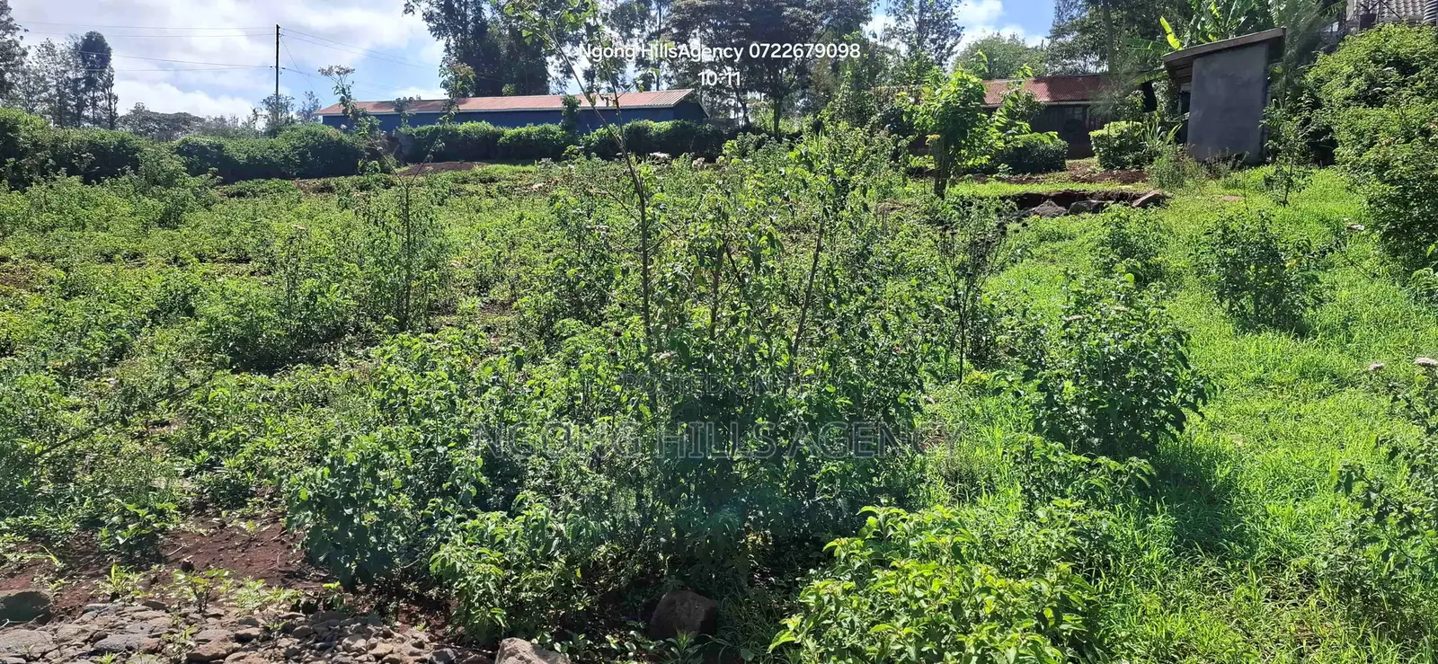 Prime 0.5 Acre Residential Plot for Sale – Magargara Road, Ngong in Kibiku