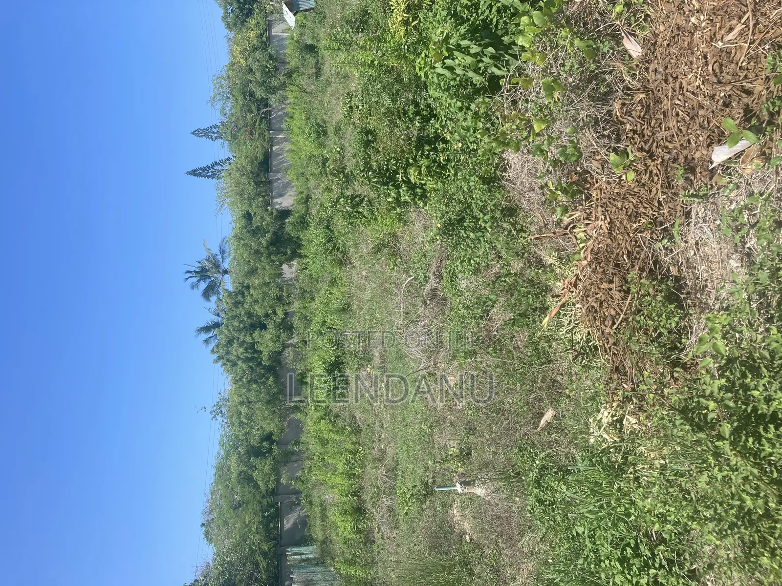 Beach One 1/2 Acre Plot in Kinondo