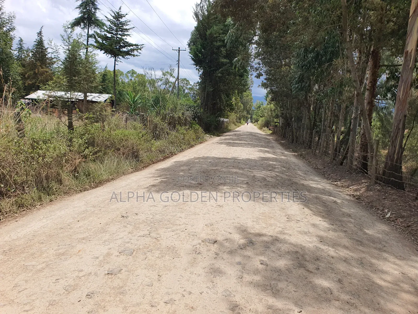 1/4 Plot for Sale in Katheri Nanyuki in Nanyuki