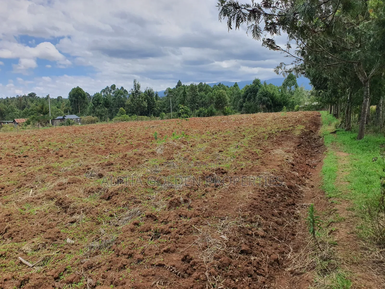 2 Acres in Katheri [ Nanyuki ] in Nanyuki