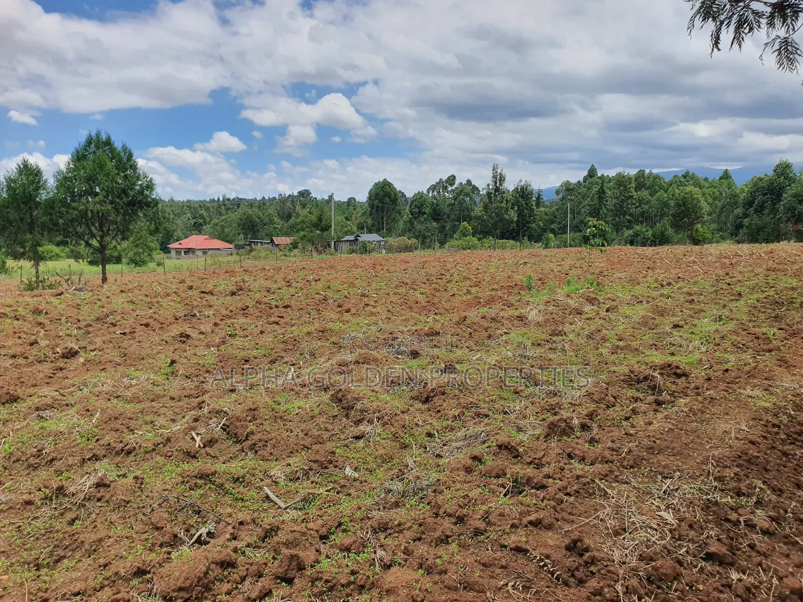 2 Acres in Katheri [ Nanyuki ] in Nanyuki