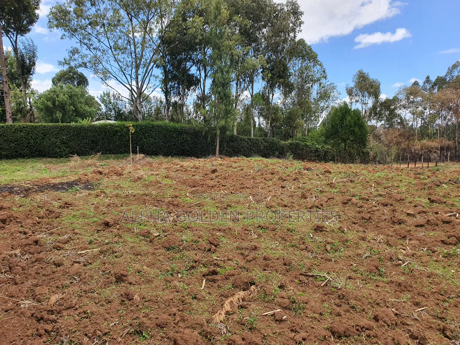 2 Acres in Katheri [ Nanyuki ] in Nanyuki