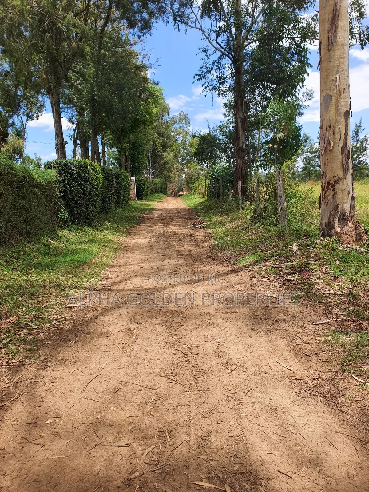 2 Acres in Katheri [ Nanyuki ] in Nanyuki