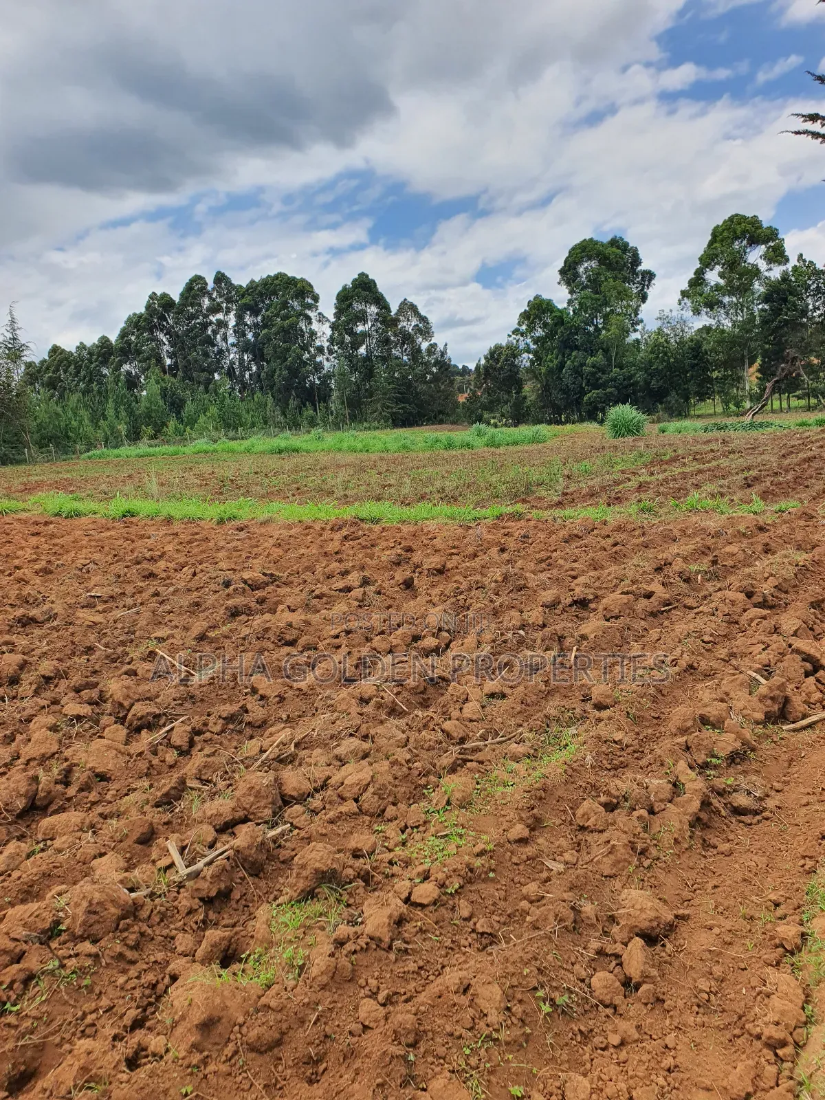 4.5 Acres in Nanyuki [ Katheri ] in Nanyuki