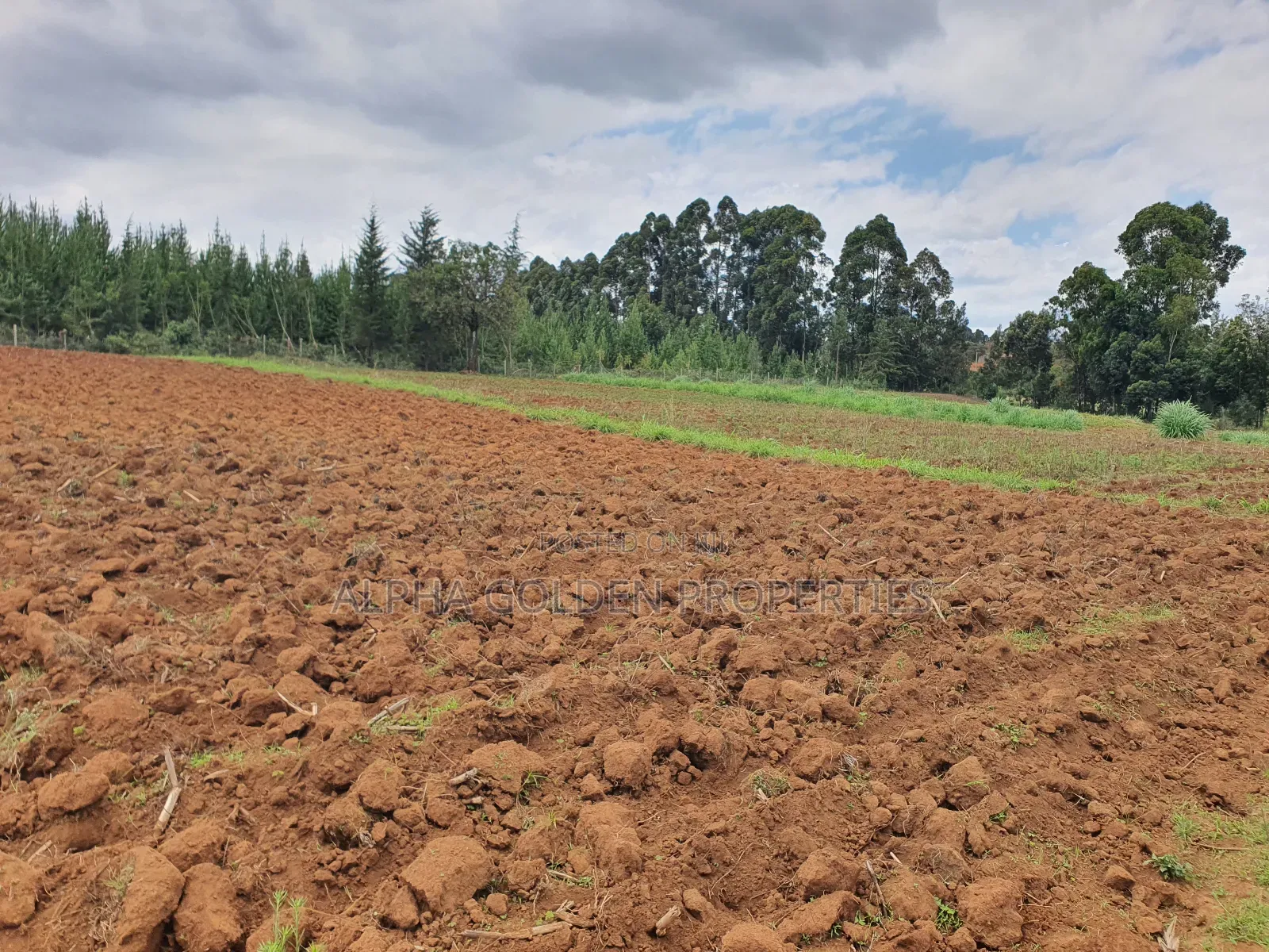 4.5 Acres in Nanyuki [ Katheri ] in Nanyuki