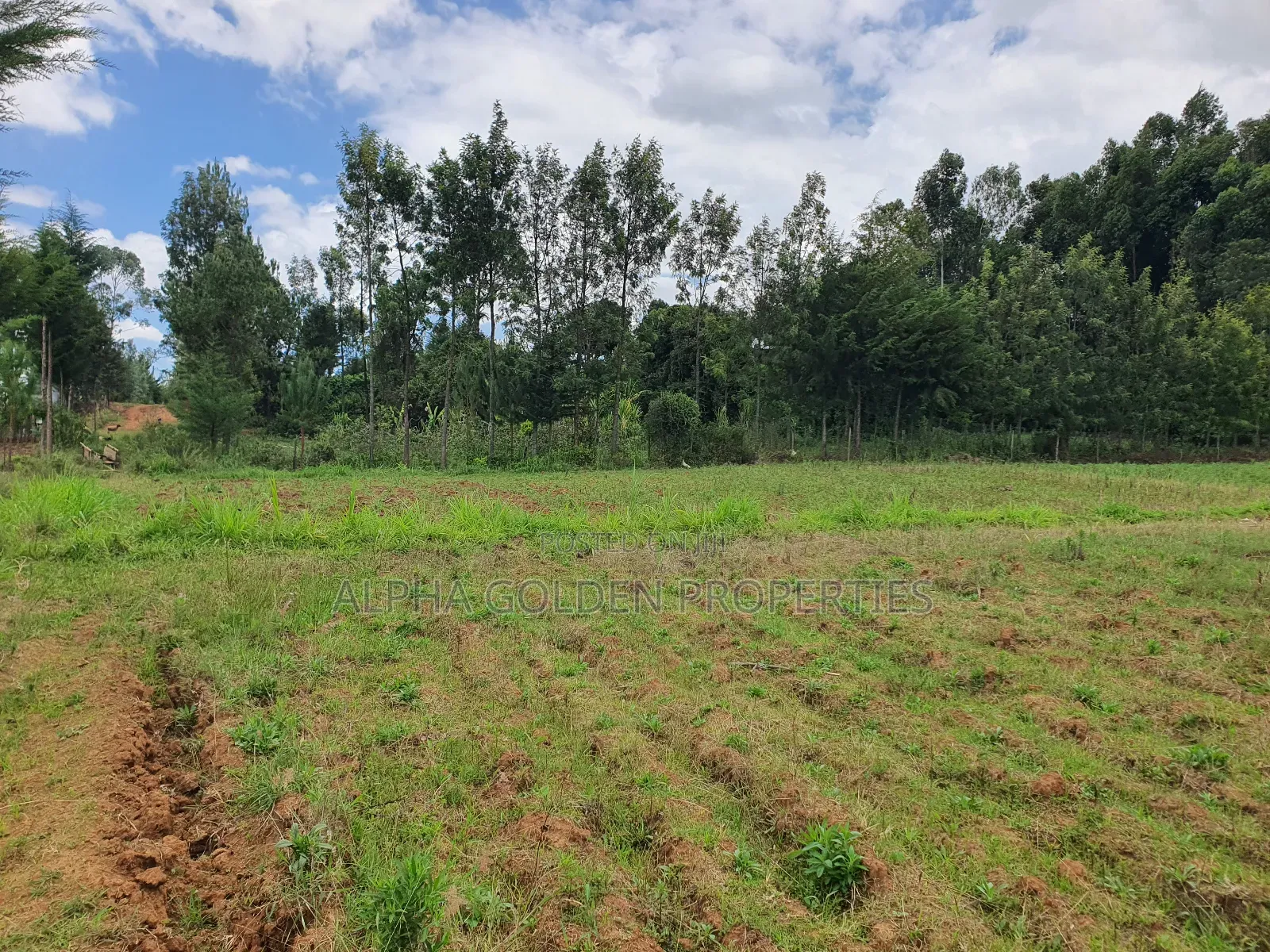 4.5 Acres in Nanyuki [ Katheri ] in Nanyuki
