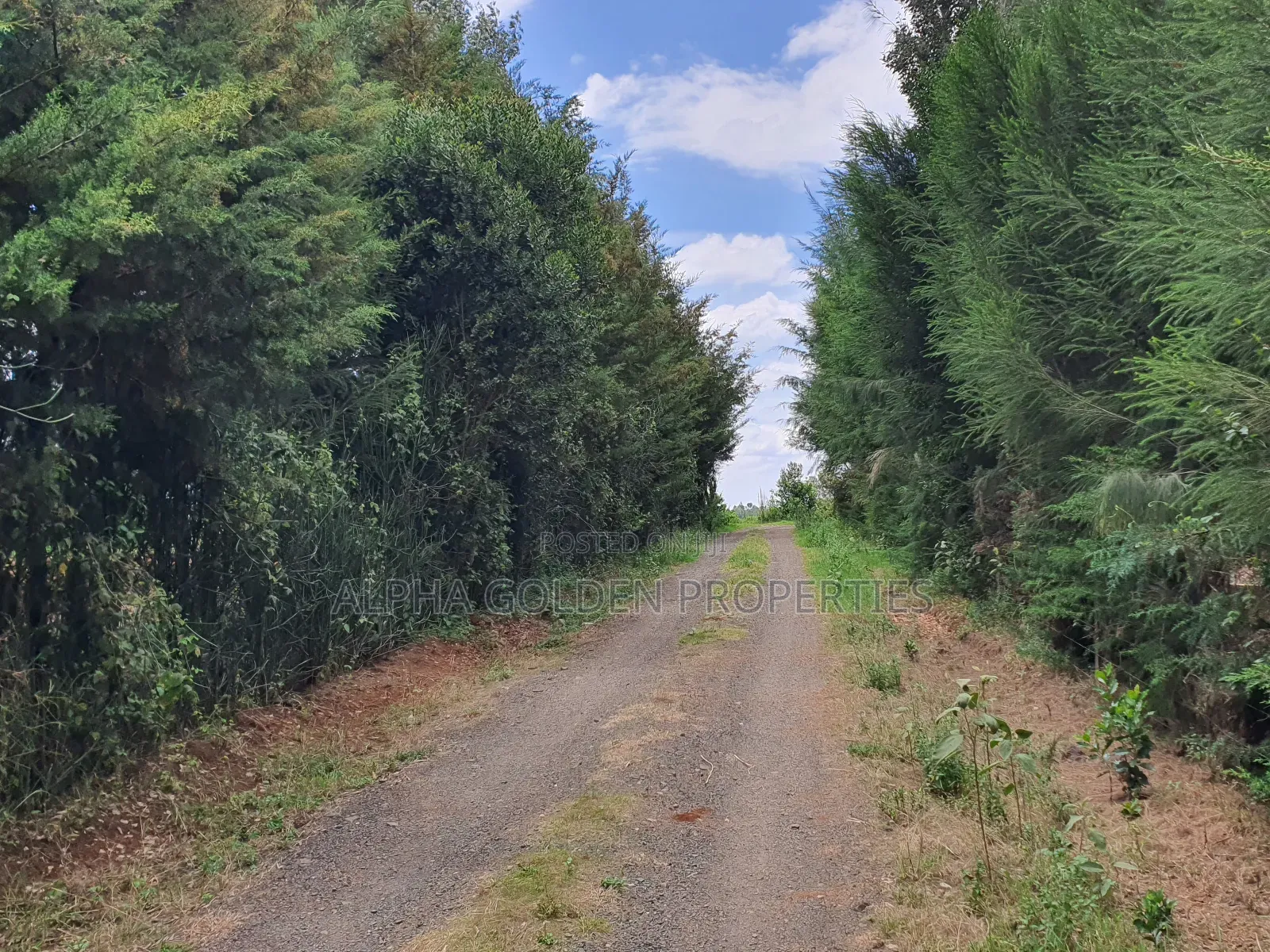 1 Acre in Nkando Estate in Nanyuki