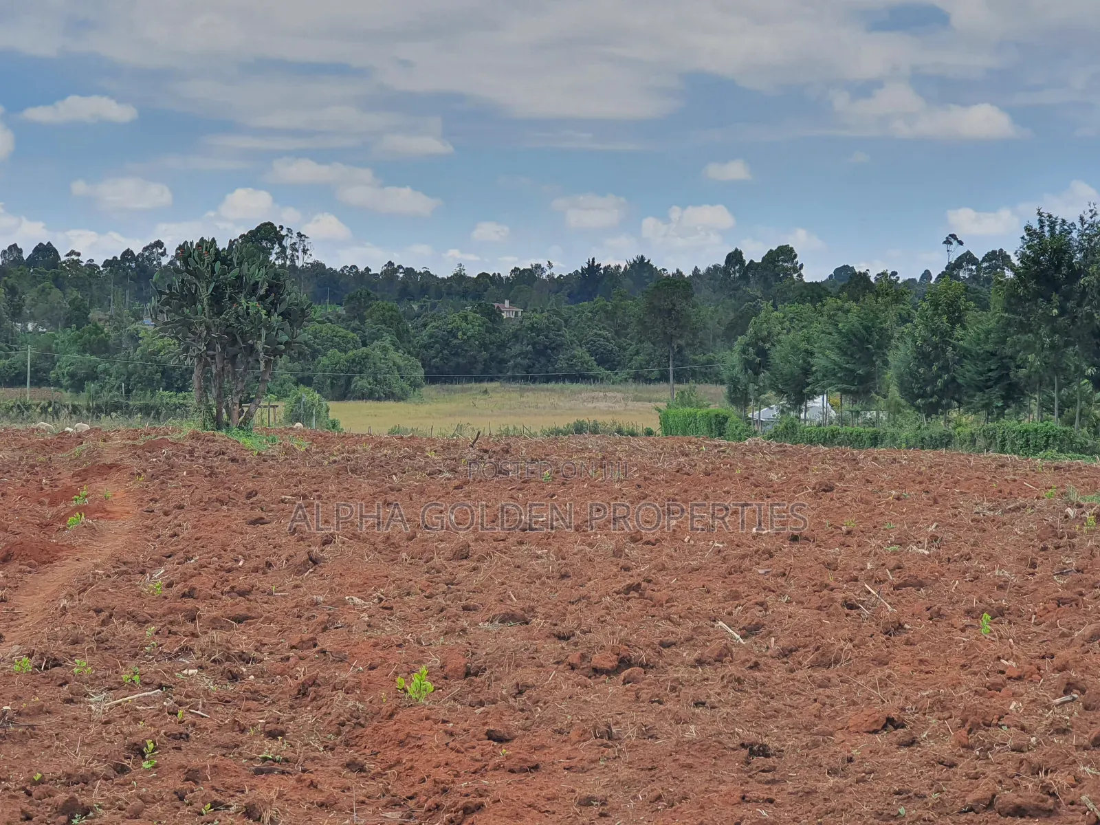 1 Acre in Nkando Estate in Nanyuki