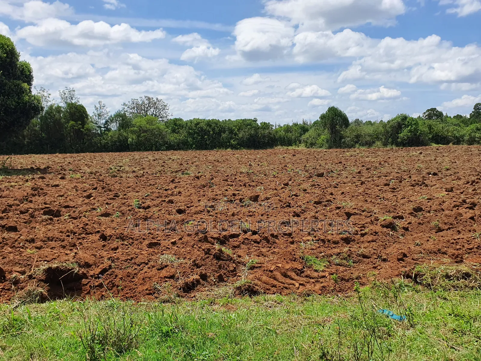 2 Acres in Nkando [ Nanyuki ] in Nanyuki