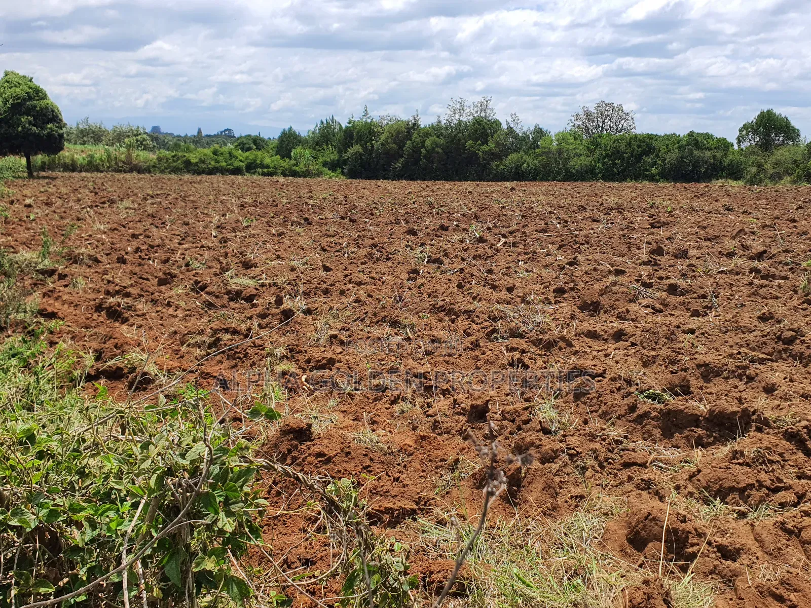 2 Acres in Nkando [ Nanyuki ] in Nanyuki