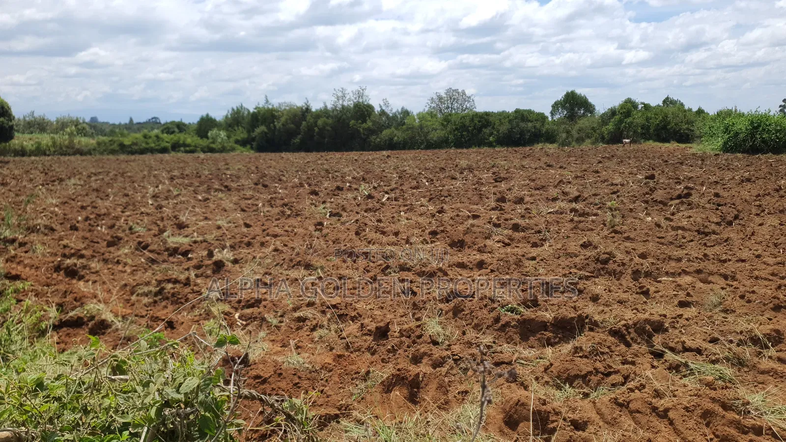 2 Acres in Nkando [ Nanyuki ] in Nanyuki