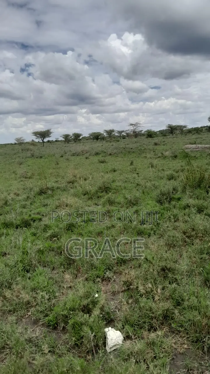 Affordable Plots For Sale In Kenanie – Pay In 12 Months in Kitengela