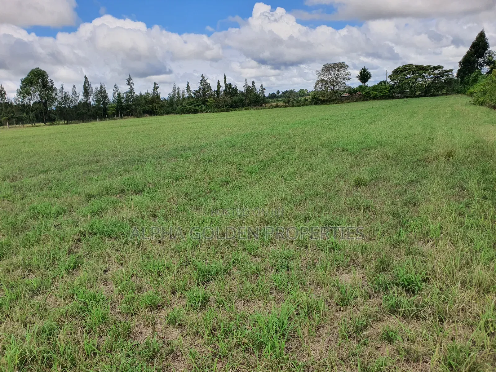 5 Acres on Sale Near Nanyuki Airstrip in Nanyuki